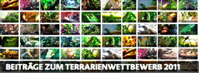 Exo Terra Terrarium Contest 2011 Entries