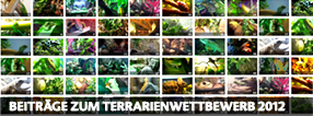 Exo Terra Terrarium Contest 2012 Entries