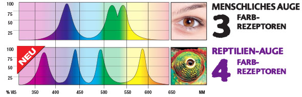 Human vision / Reptile vision