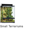 Small Terrariums