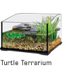Turtle Terrarium'