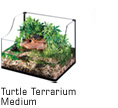 Turtle Terrarium Medium