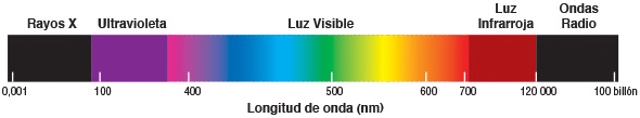 Ultraviolet light in the spectrum