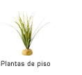 Ground Aquatic Plants
