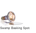 Swamp Basking Spot