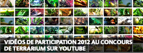 Exo Terra Terrarium Contest 2012 Entries