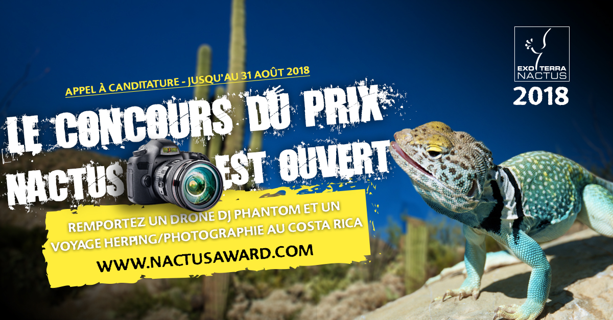 Nactus Award 2018