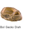 Gecko Dish