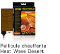 Heat Wave Desert