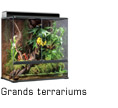 Grands terrariums