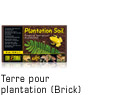 Plantation Soil (Brick)