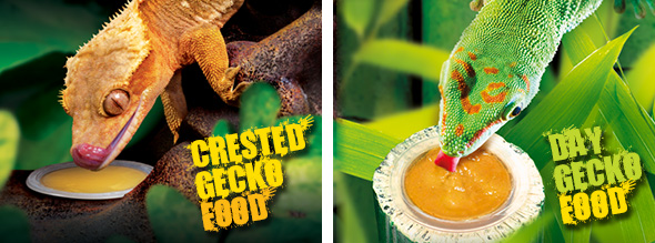 Crested Gecko Food - Day Gecko Food