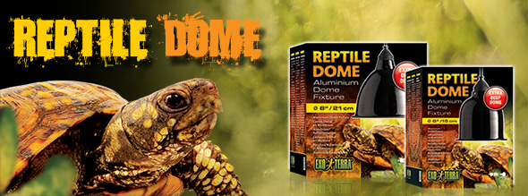 New: Reptile dome