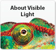 About visible light