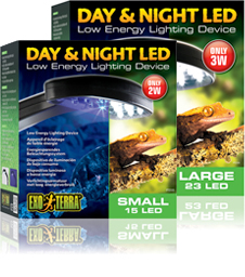 Day & Night LED