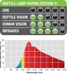 Reptile Lamp Rating System