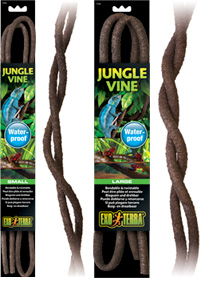 Jungle Vines