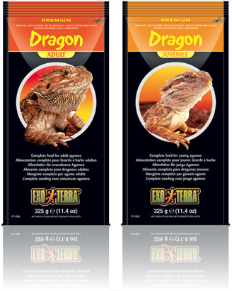 Dragon Juvenile and Adult
