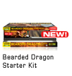 Bearded Dragon Starter Kit