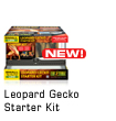 Leopard Gecko Starter Kit