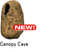 Canopy Cave