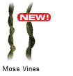 Moss Vines