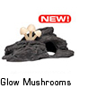 Glow Mushrooms