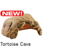 Tortoise Cave