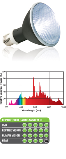 SunRay Fixture info