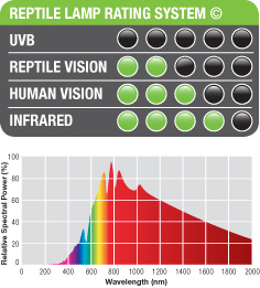 Reptile Lamp Rating System