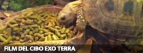 Exo Terra Food Movies