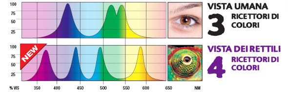 Human vision / Reptile vision