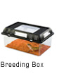 Breeding Box