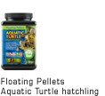 Floating Pellets Aquatic Turtle Hatchling