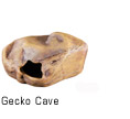 Gecko Cave