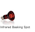 Infrared Basking Spot