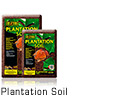 Plantation Soil