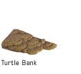 Turtle Bank