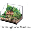 Turtle Terrarium Medium