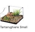 Turtle Terrarium Small
