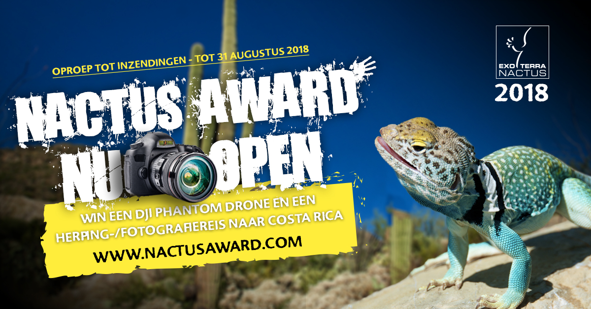 Nactus Award 2018