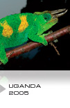 Uganda 2005
